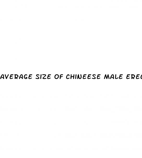 average size of chineese male erect penis