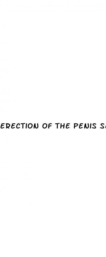 erection of the penis sex video