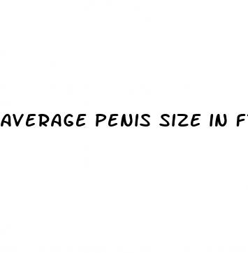 average penis size in france