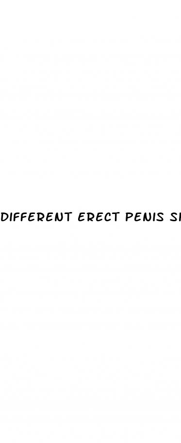 different erect penis shapes