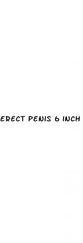 erect penis 6 inch