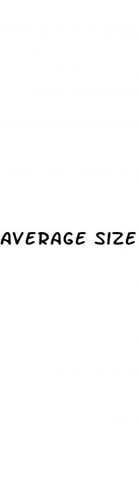 average size penis erection