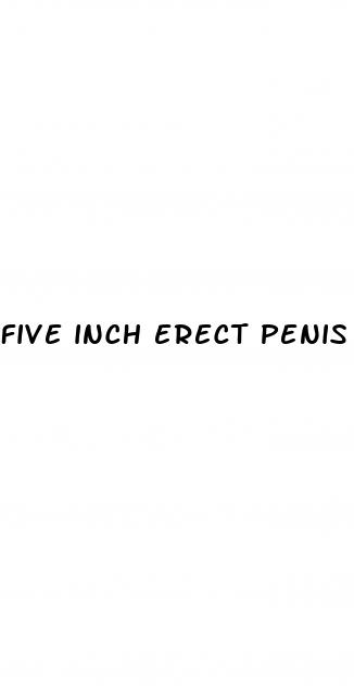 five inch erect penis pics