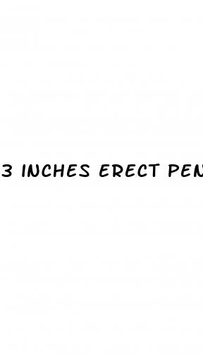3 inches erect penis
