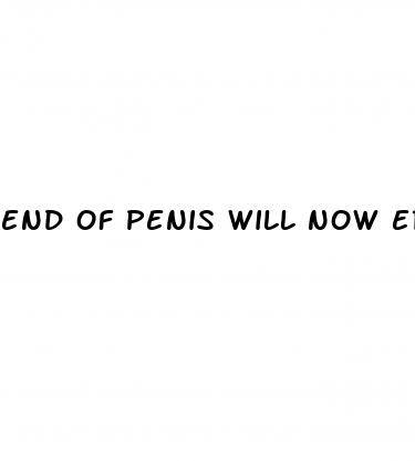 end of penis will now erect