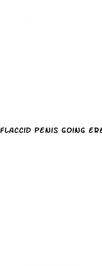 flaccid penis going erect