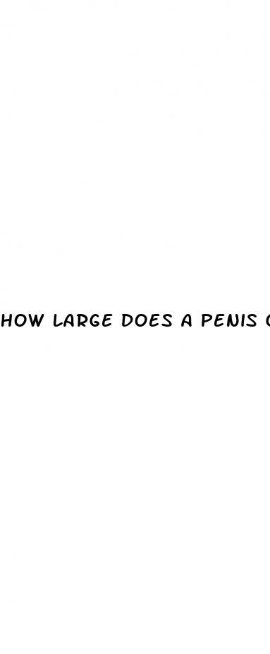 how large does a penis get when erect