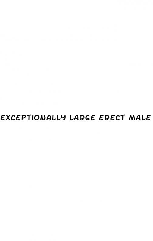 exceptionally large erect male penis