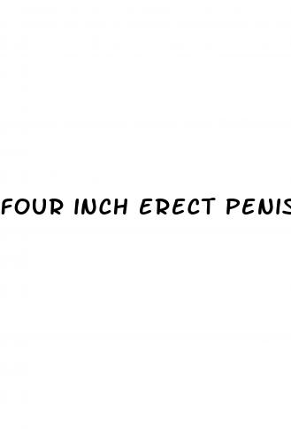four inch erect penis