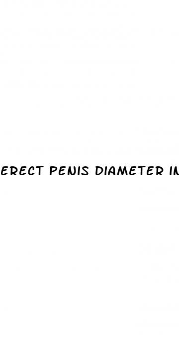 erect penis diameter in inches