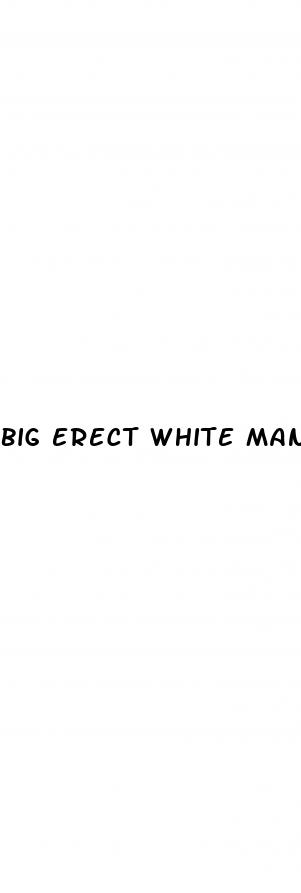 big erect white man penis