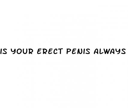 is your erect penis always the same size