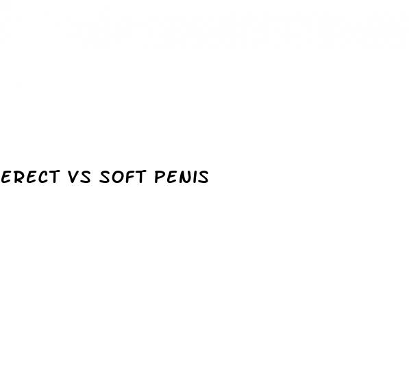 erect vs soft penis