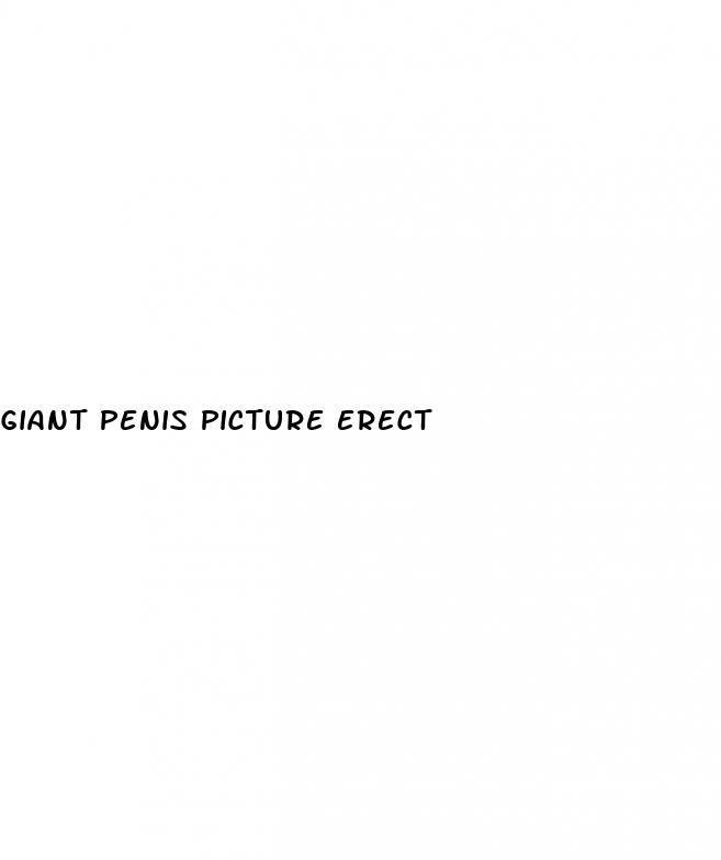 giant penis picture erect