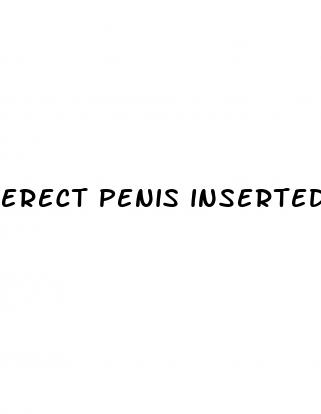 erect penis inserted into moist vagina