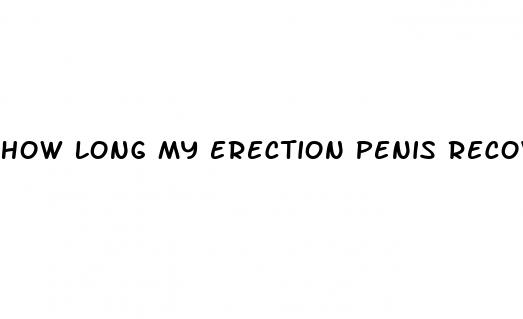 how long my erection penis recovery