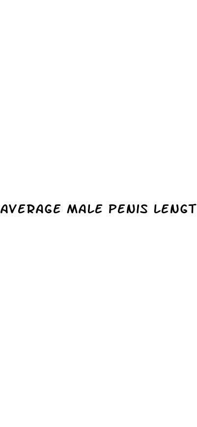 average male penis length erect