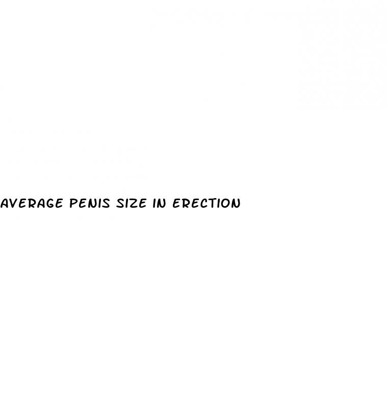 average penis size in erection