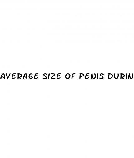 average size of penis during erection