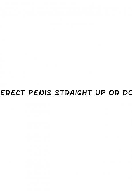 erect penis straight up or down
