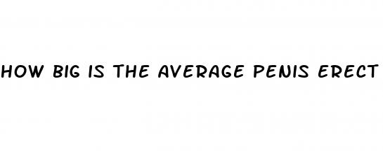 how big is the average penis erect