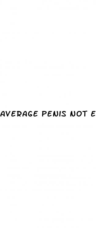 average penis not erect