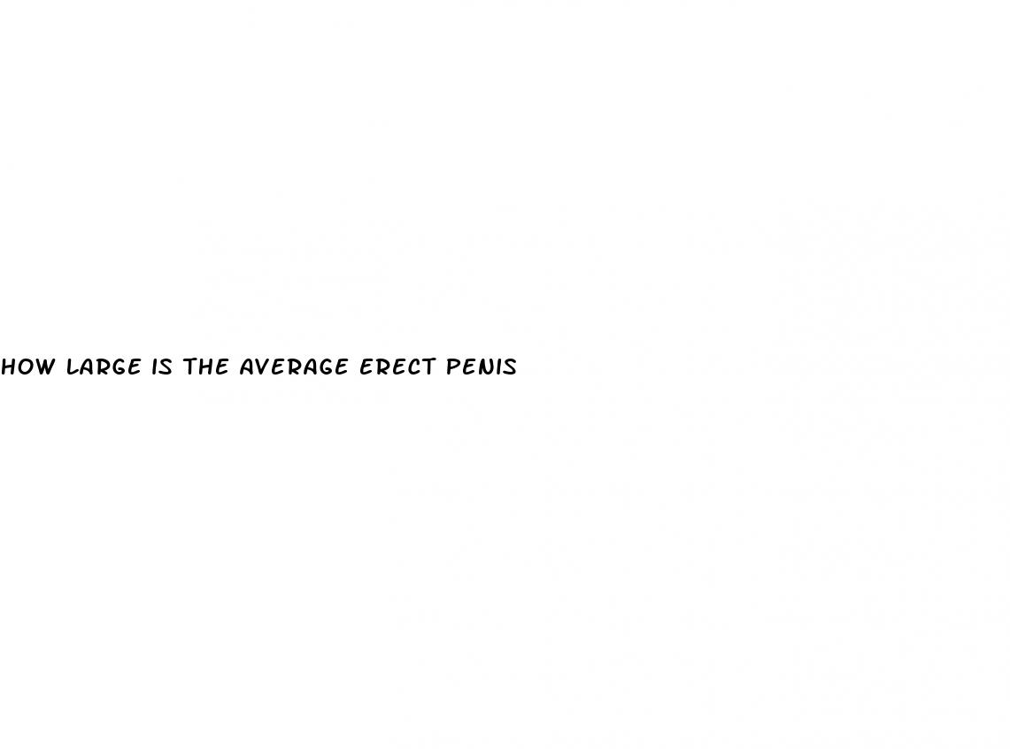 how large is the average erect penis