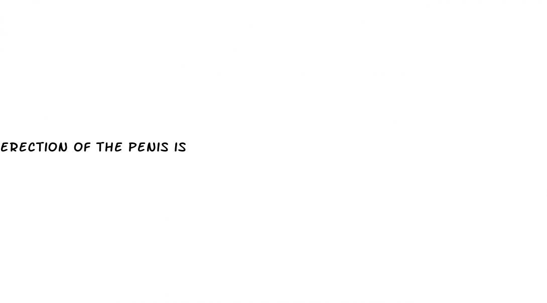 erection of the penis is
