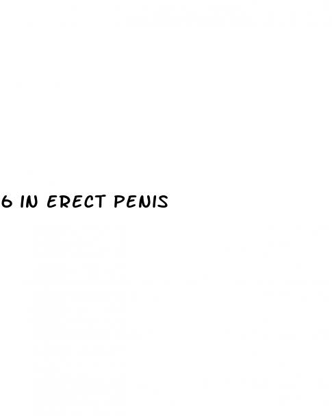 6 in erect penis