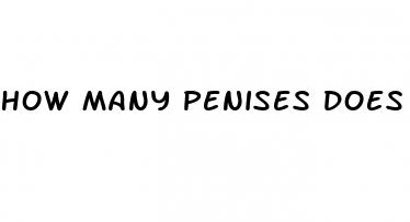 how many penises does a shark have