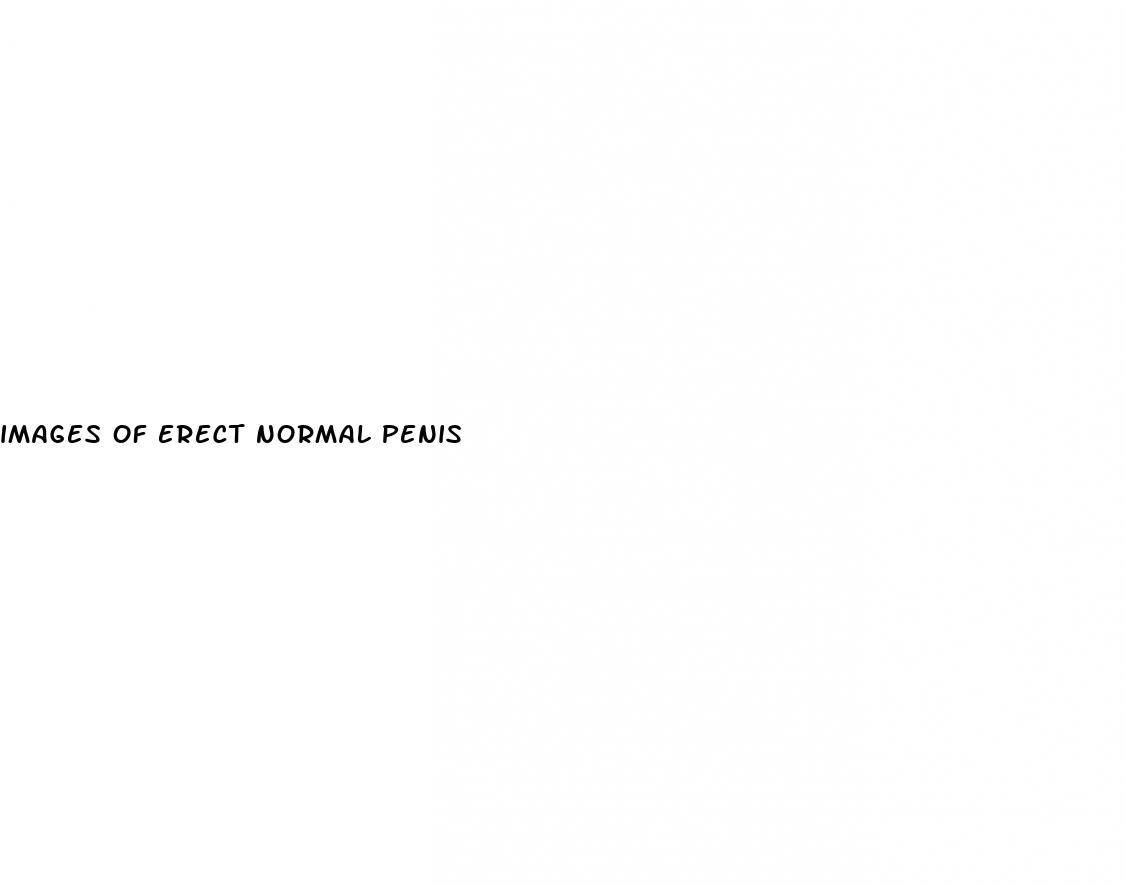 images of erect normal penis