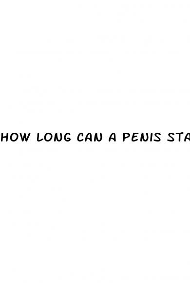 how long can a penis stay erect