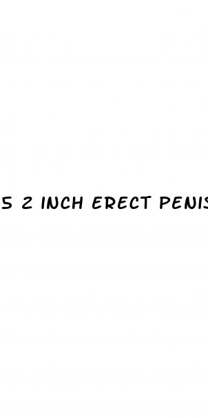 5 2 inch erect penis