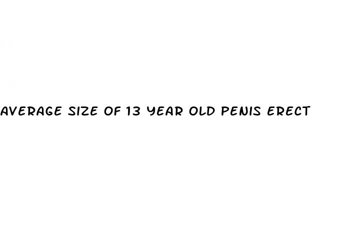 average size of 13 year old penis erect