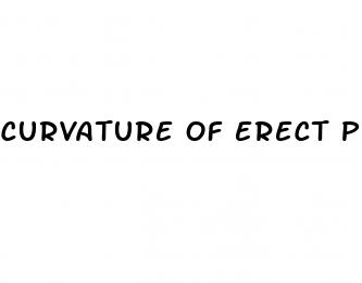 curvature of erect penis