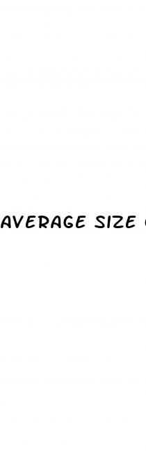 average size of non erect penis