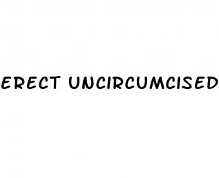 erect uncircumcised vs circumcised penis