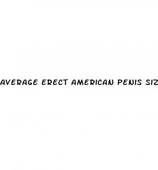 average erect american penis size