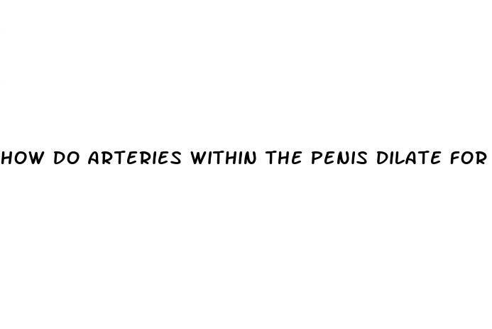 how do arteries within the penis dilate for erection