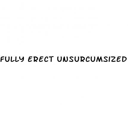 fully erect unsurcumsized penis