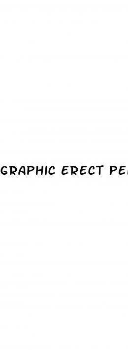 graphic erect penis in vagina