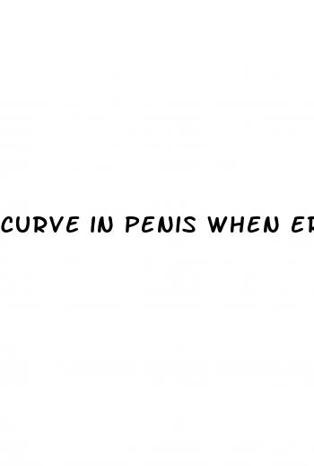 curve in penis when erect