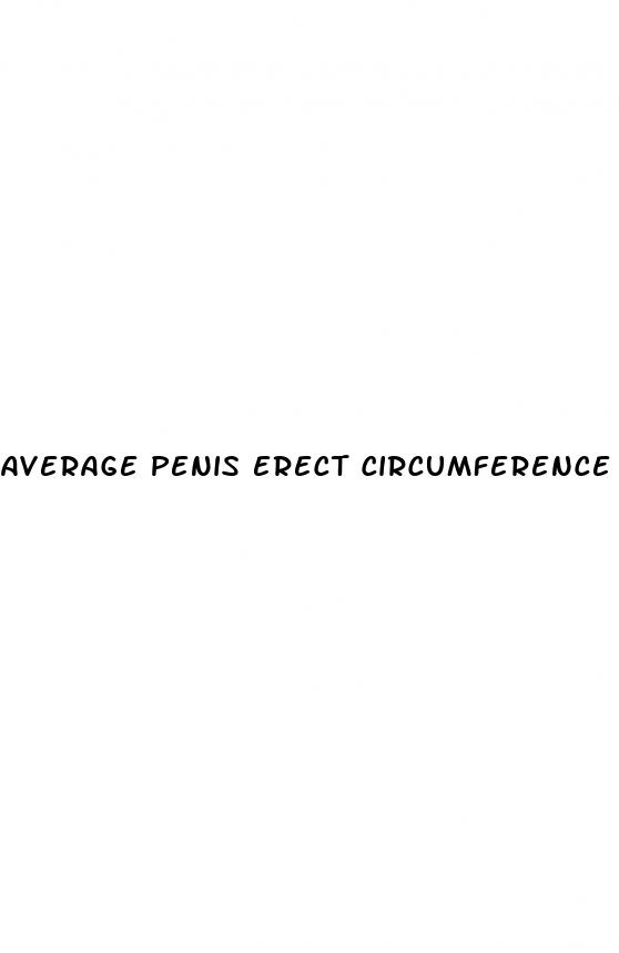 average penis erect circumference