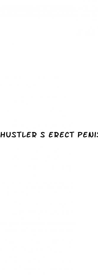 hustler s erect penis scale