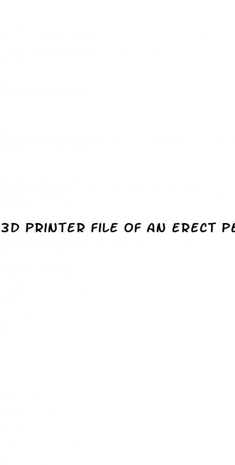 3d printer file of an erect penis