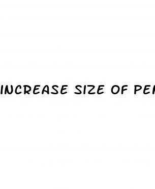 increase size of pennis