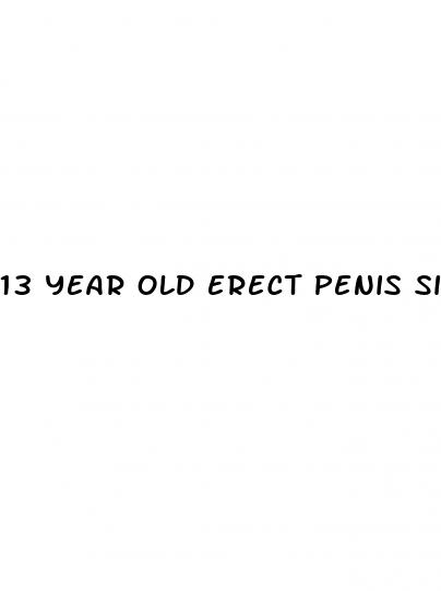 13 year old erect penis size