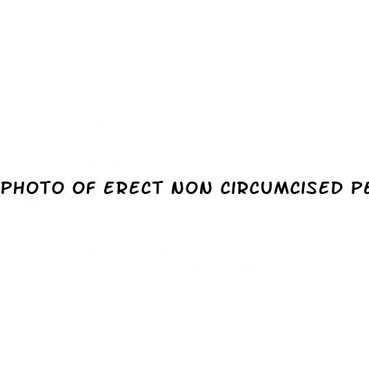photo of erect non circumcised penis