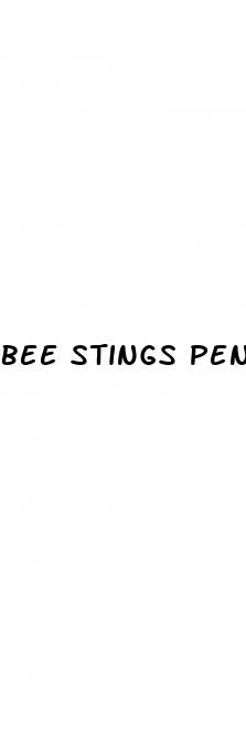 bee stings penis enlargment