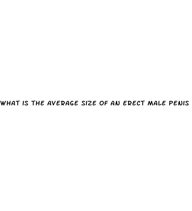what is the average size of an erect male penis
